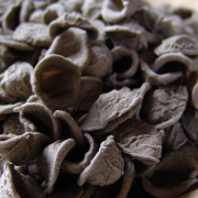 Orecchiette grano arso bruciato Puglia